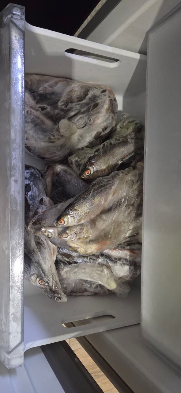 Жители Тверской области наловили рыбы для бойцов СВО