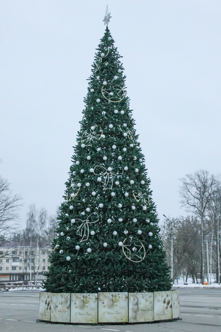 Главная новогодняя ель в Тверской области вызвала неоднозначную реакцию горожан