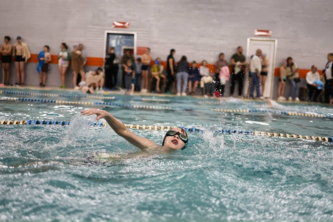 130 юных пловцов собрались на предновогоднем турнире в Ржеве