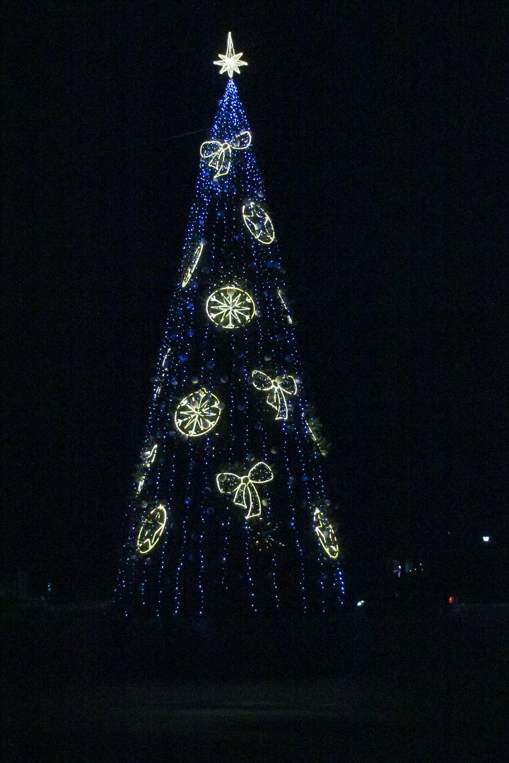 Главная новогодняя ель в Тверской области вызвала неоднозначную реакцию горожан