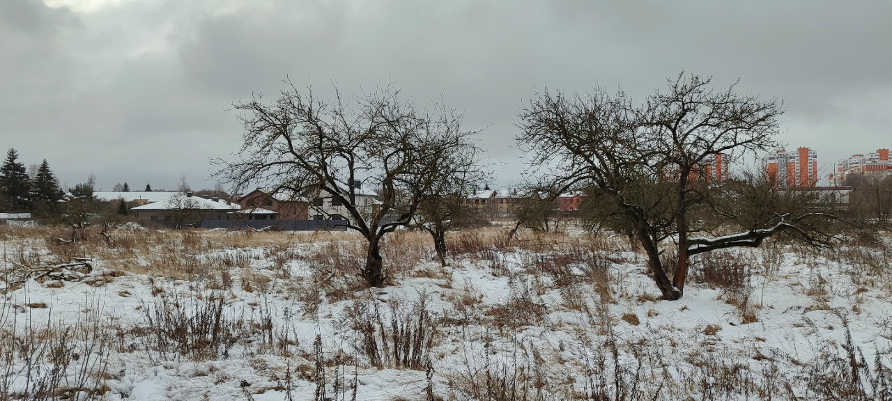 Шервуд, зольник и маньячный переулок: нетуристическая Тверь