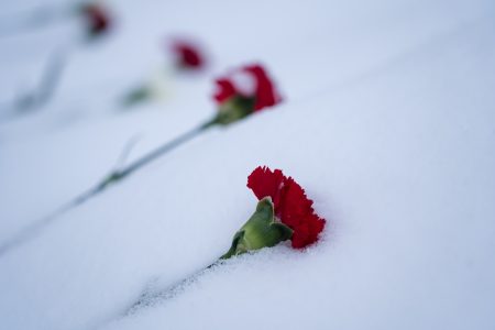 Тверь военная: от захвата до освобождения