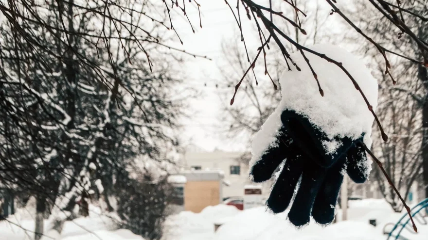 На Тверскую область надвигается крупные заморозки