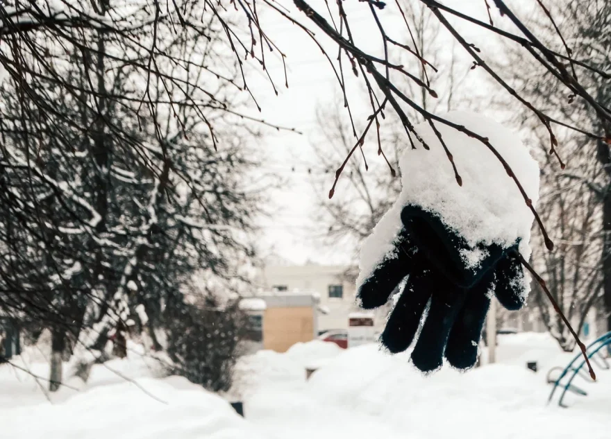На Тверскую область надвигаются крупные заморозки