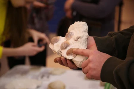 исследование