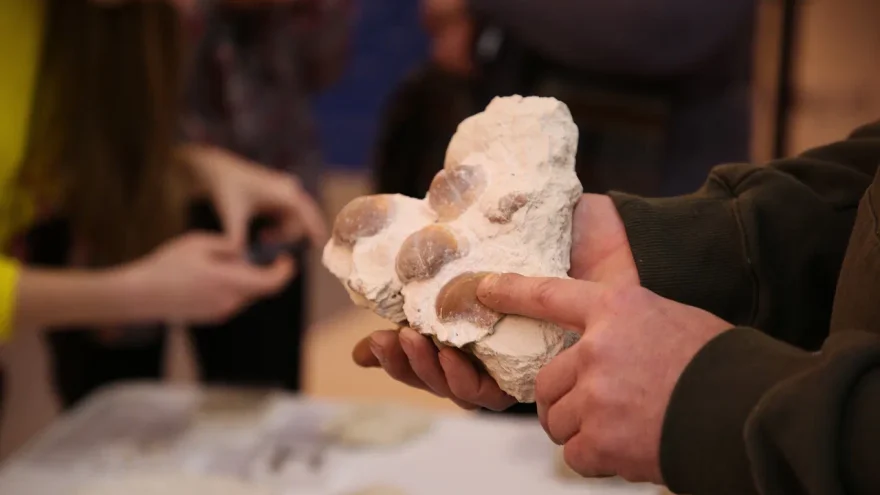 исследование