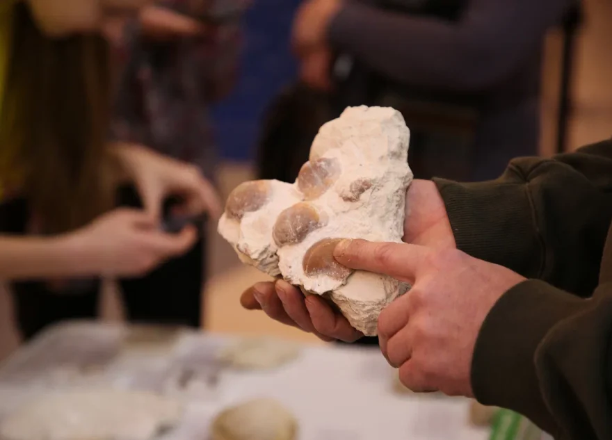 исследование