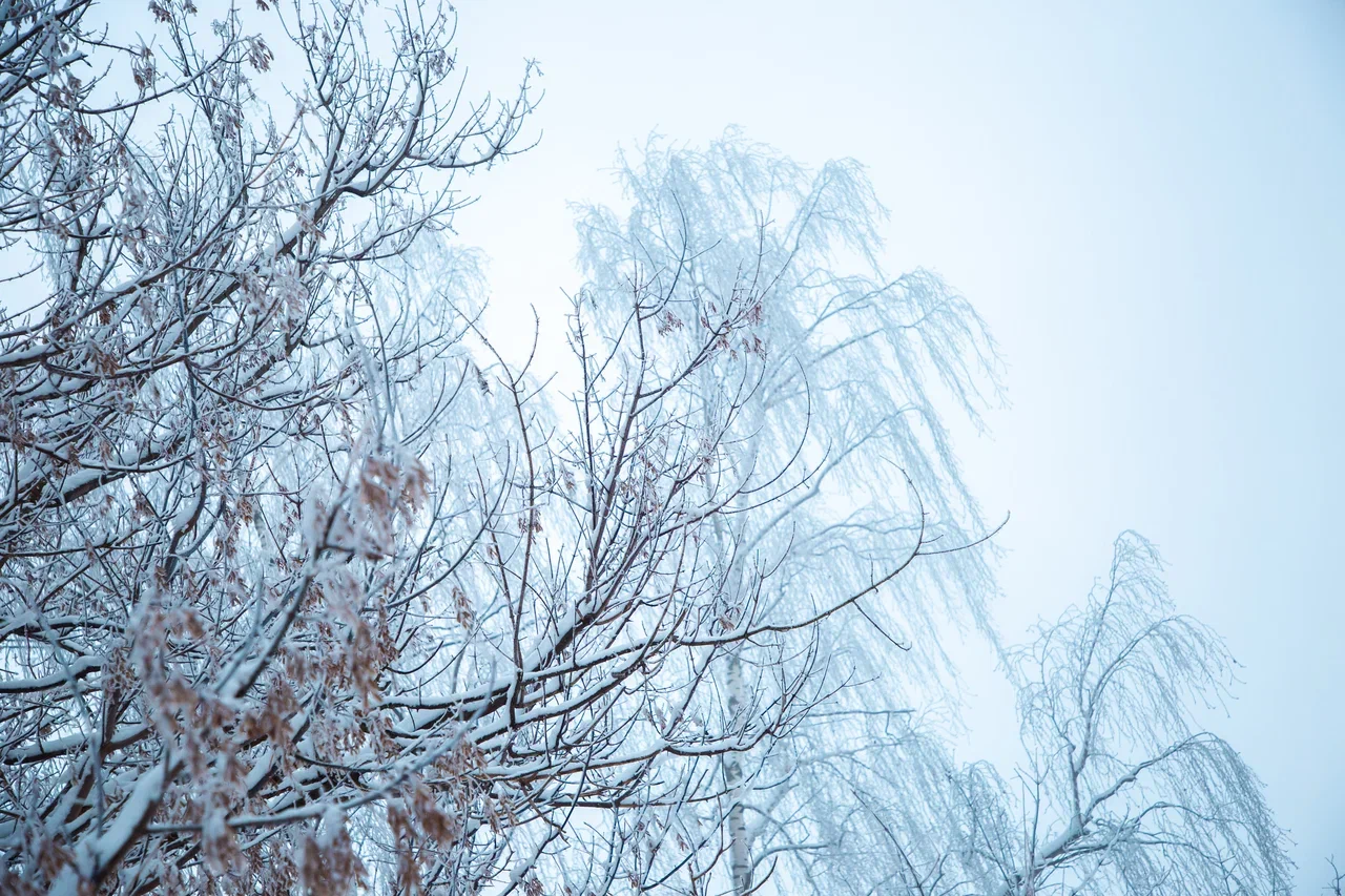 Тверская авиакомпания получит новый вертолёт Ми-8