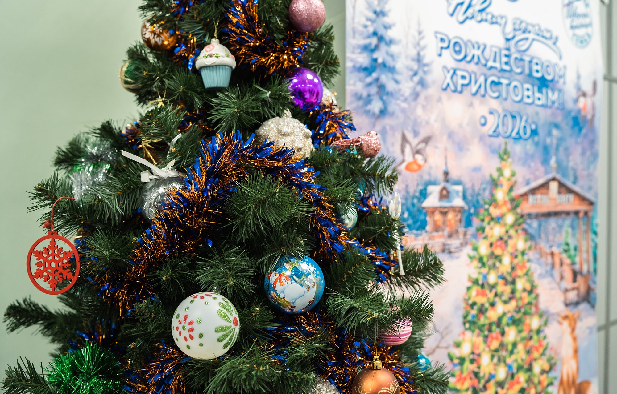 Больше 52 тысяч юных жителей Тверской области получат сладкие подарки