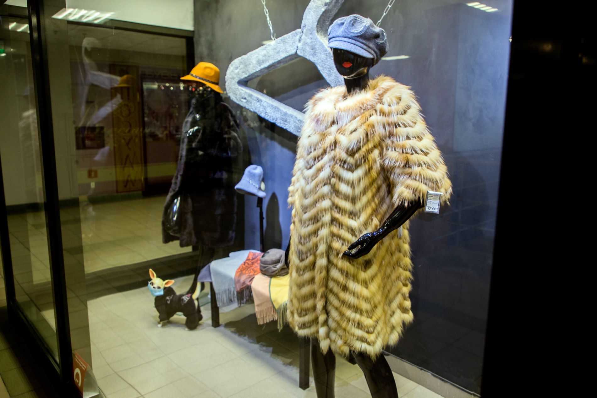 Держите себя в узде: как встретить Лошадь, чтобы она не взбрыкнула