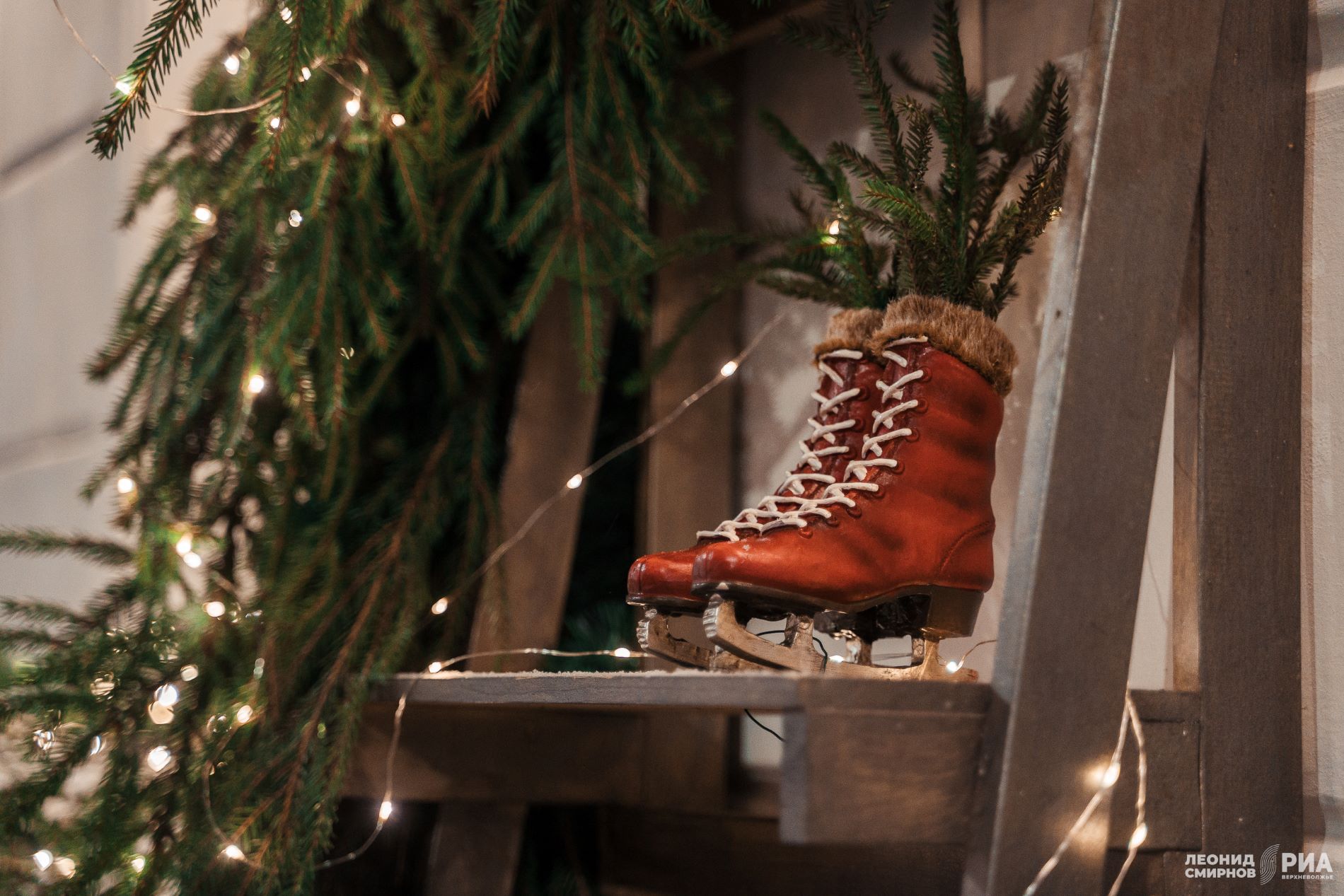 Держите себя в узде: как встретить Лошадь, чтобы она не взбрыкнула