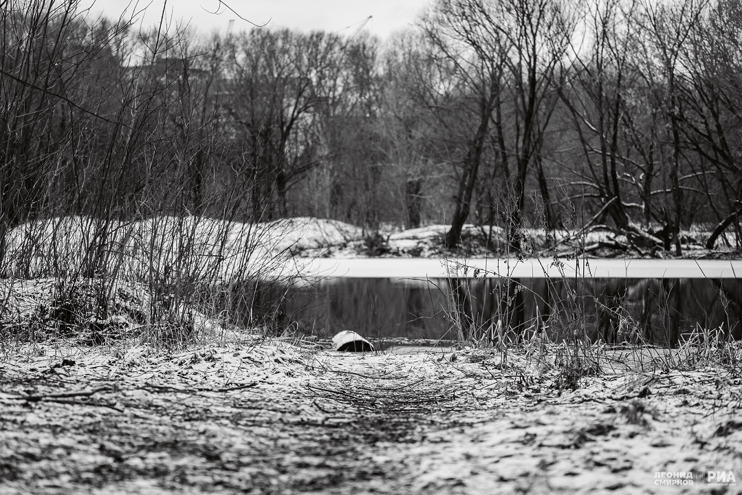 Российские компании отменяют новогодние подарки сотрудникам: тенденции и причины