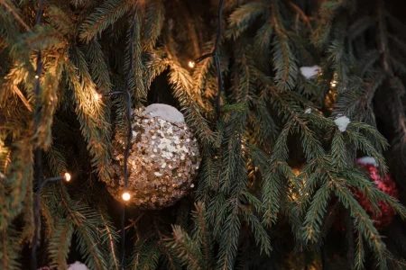 Мошенники убивают новогоднее настроение жителей Тверской области новогоднее настроение