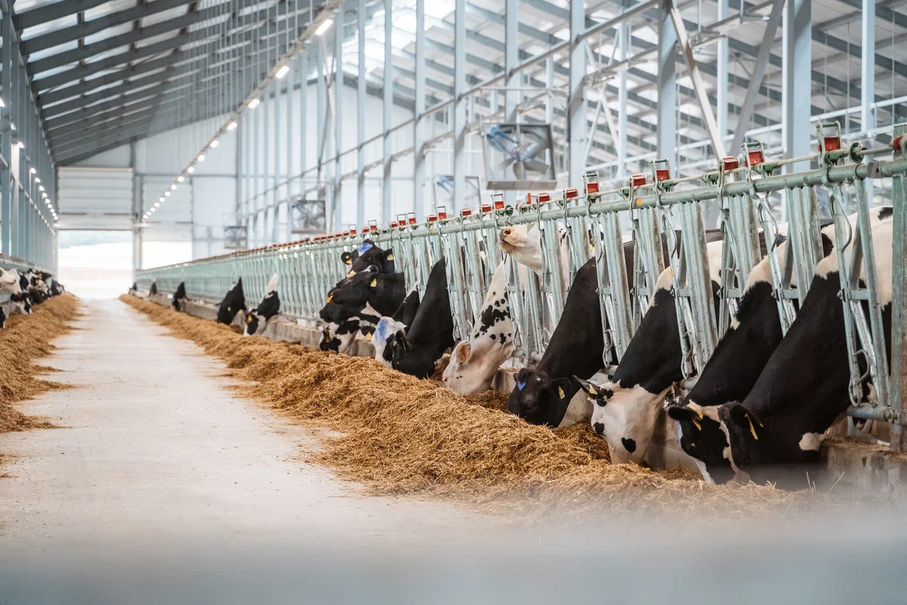 Месяц на посту: что успел сделать Виталий Королев в должности исполняющего обязанности губернатора Тверской области