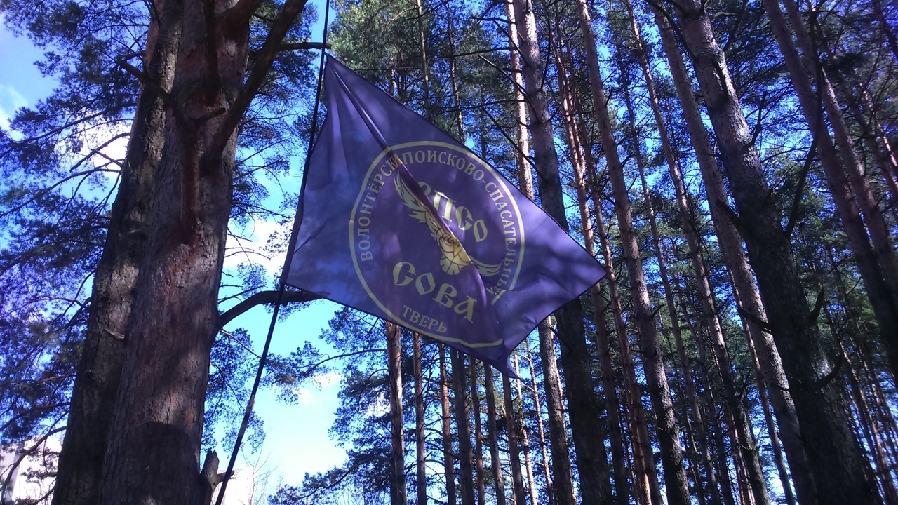 В Тверской области трагически закончились поиски молодого человека