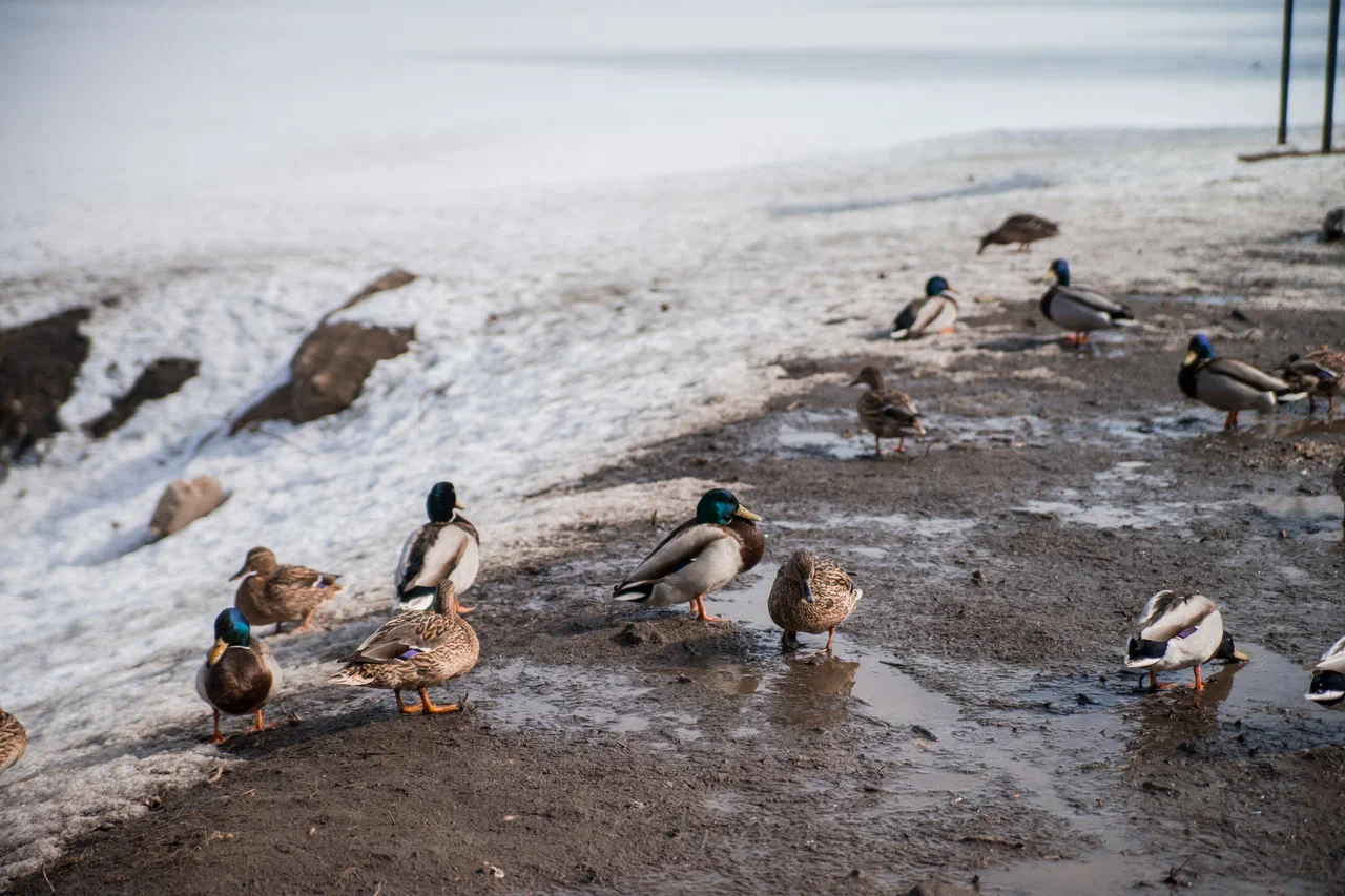 Состоялась рабочая встреча руководства ЗС с и.о. начальника Управления Минюста России по Тверской области Ириной Кузиной