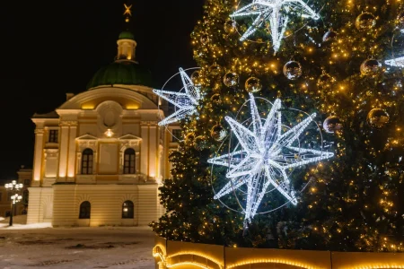 Синоптики спорят, какую погоду ждать в ЦФО на Новый год Новый год