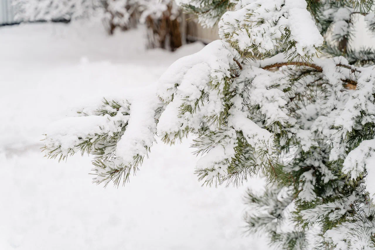 Стала известна дата празднования дня города в Твери