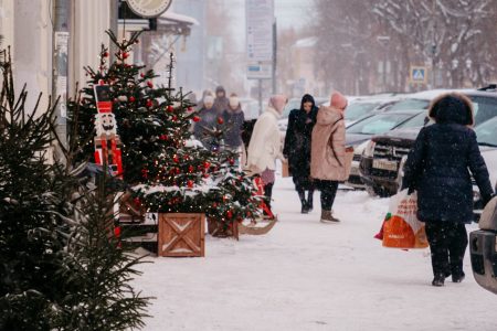 Синоптики пообещали жителям Тверской области идеальную зимнюю погоду синоптики