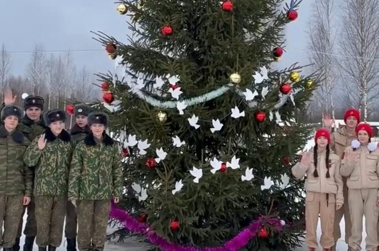 Молодежь Андреаполя украсила новогоднюю елку символичной гирляндой