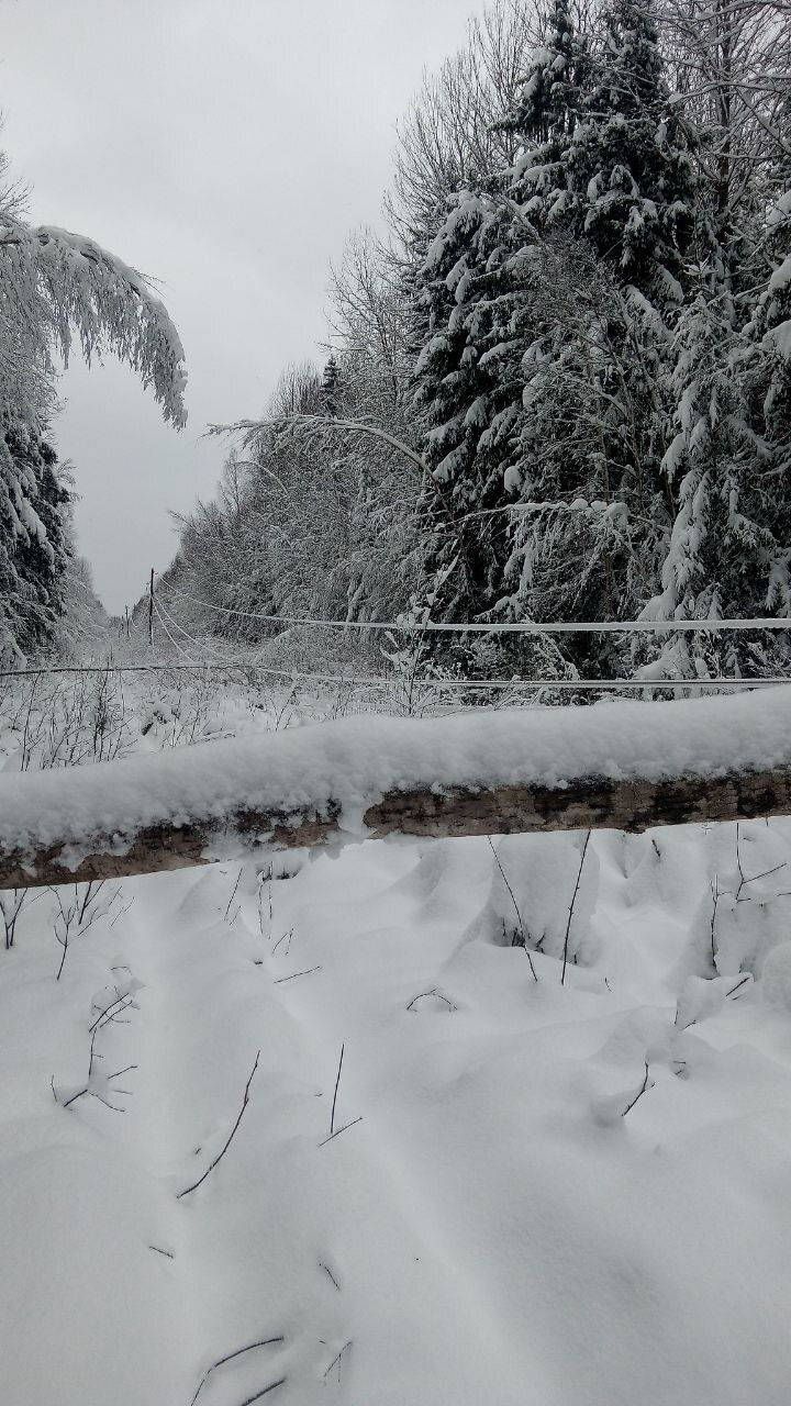 Местные власти просят жителей Тверской области помочь восстановить электроснабжение