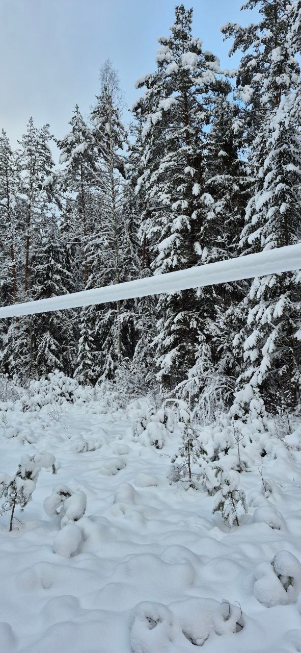 Местные власти просят жителей Тверской области помочь восстановить электроснабжение
