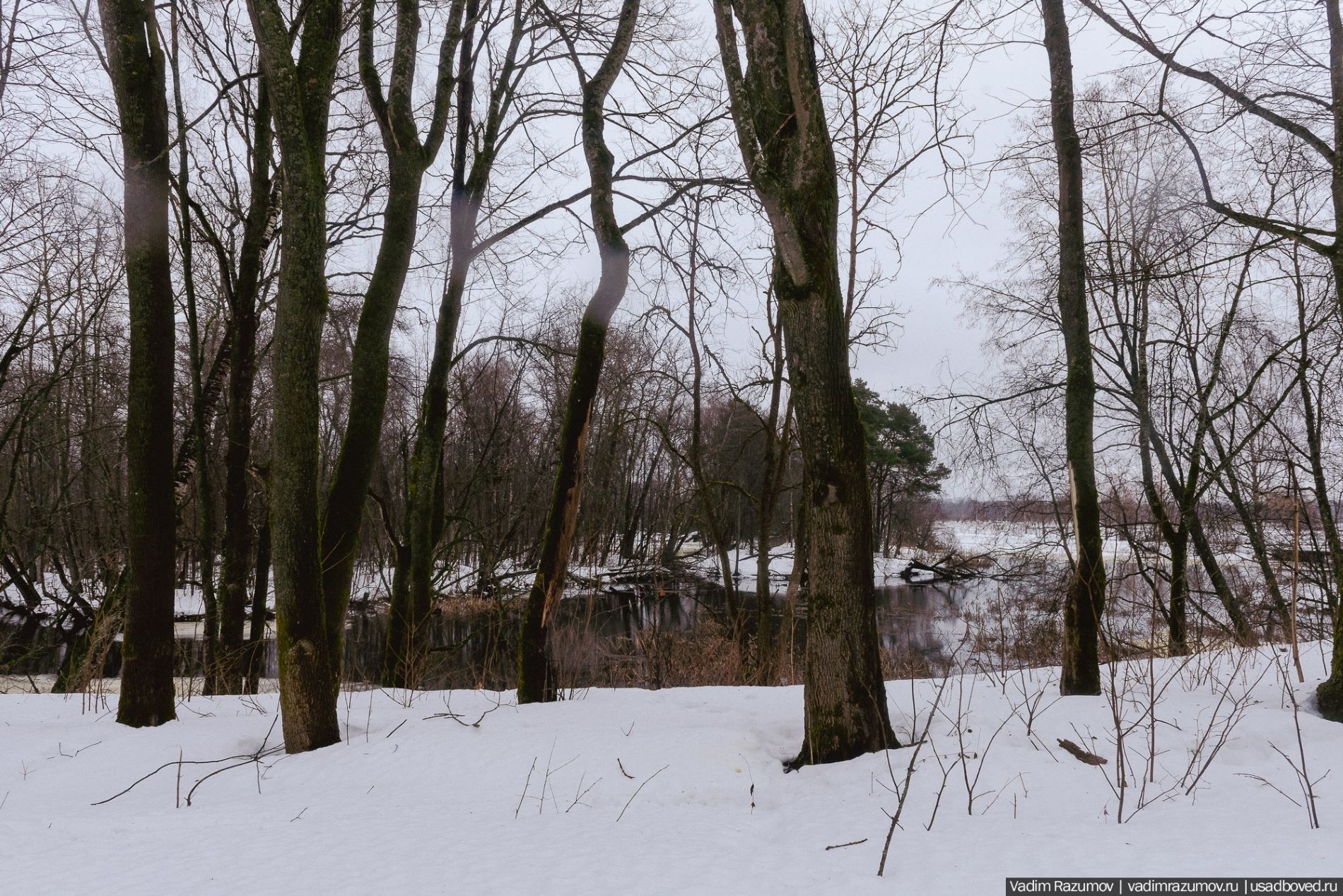 В Тверской области восстановят усадьбу под древним городом
