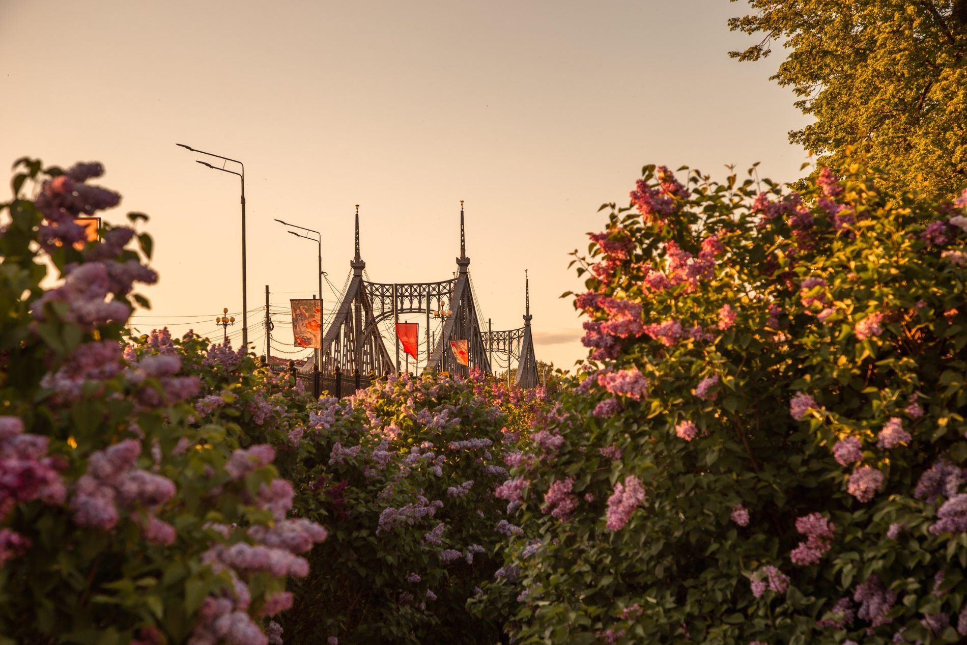 В тверском ТЮЗе открылась персональная выставка фотографа РИА «Верхневолжье» Кристины Беляковой