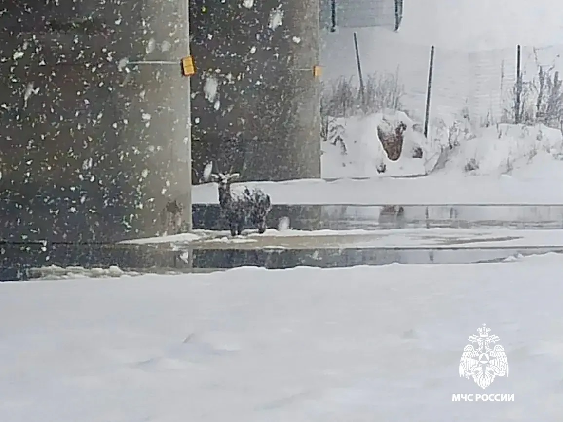 Жительница Твери оформила крупный кредит на имя знакомой