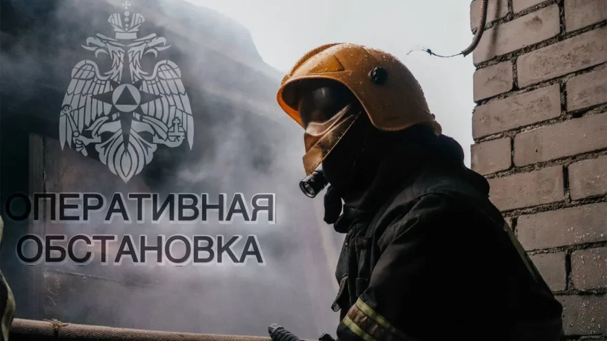 За неделю на пожарах в Тверской области погибли 8 человек