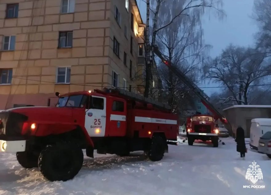 бдительность