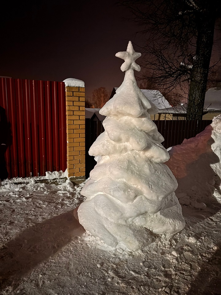 В Тверской области мужчина создал снежный "музей"