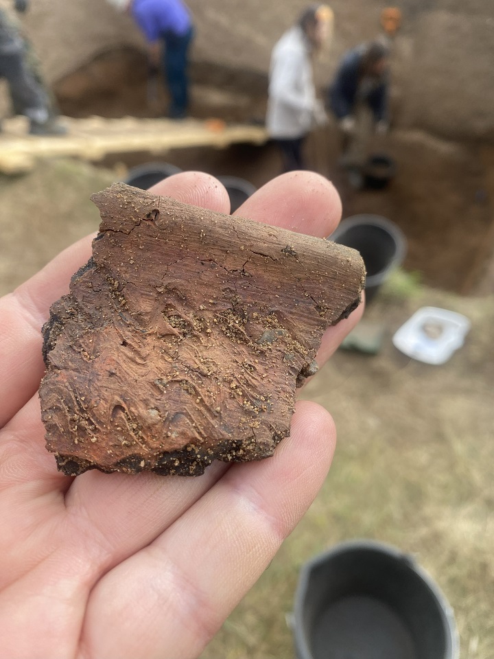 В Тверской области нашли поселение викингов X века