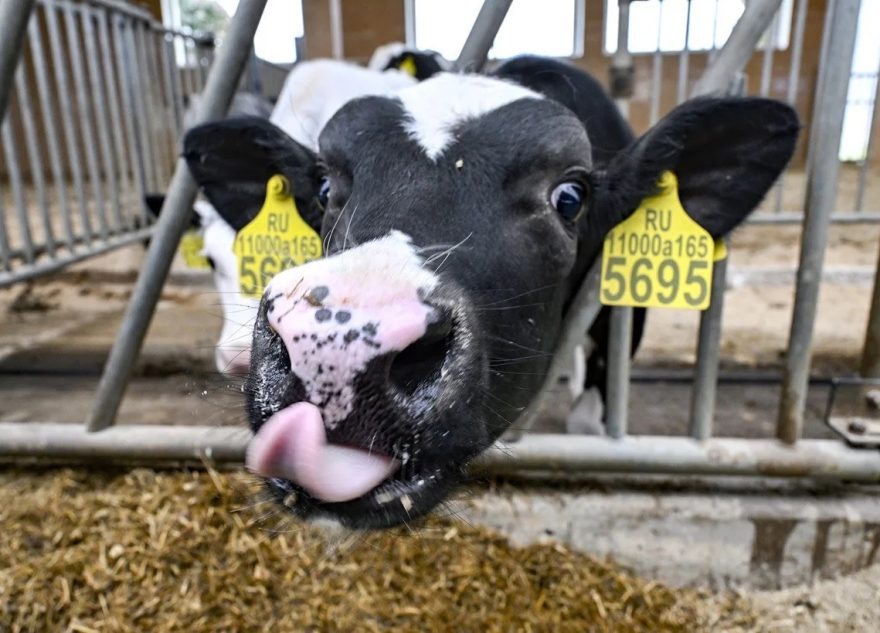 агропромышленного