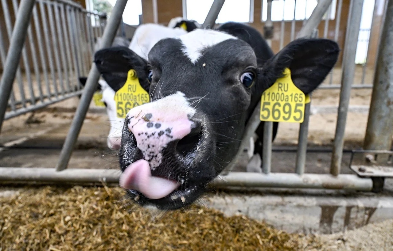 агропромышленного