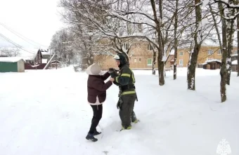 В Тверской области спасли застрявшего на дереве кота В Тверской области спасли застрявшего на дереве кота
