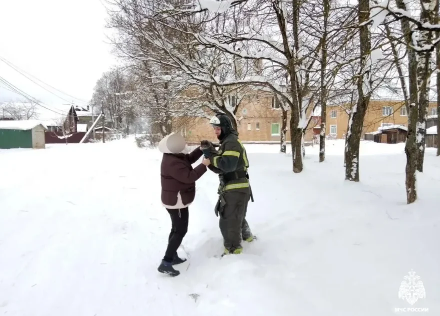 В Тверской области спасли застрявшего на дереве кота