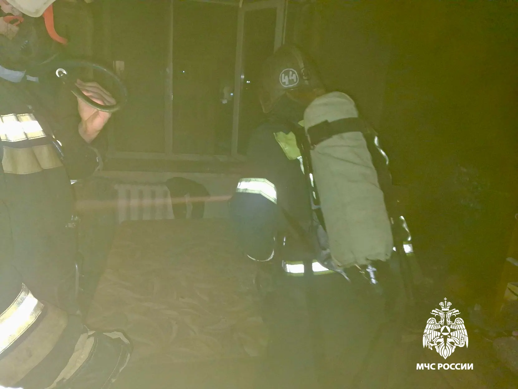 В Тверской области пожарные спасли из пожара собаку