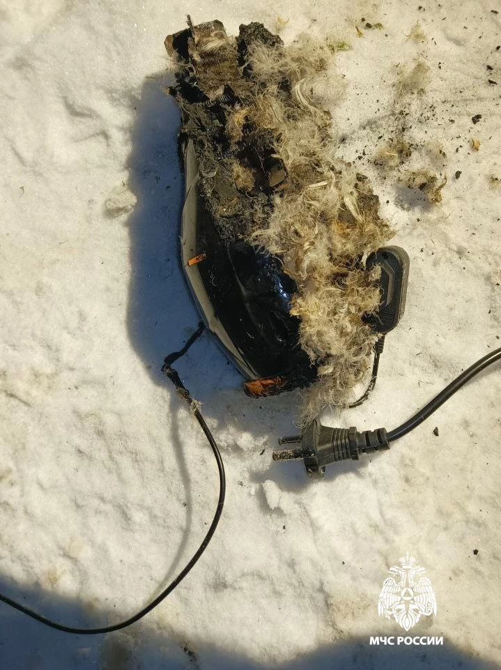 В Тверской области пожарные спасли из пожара собаку