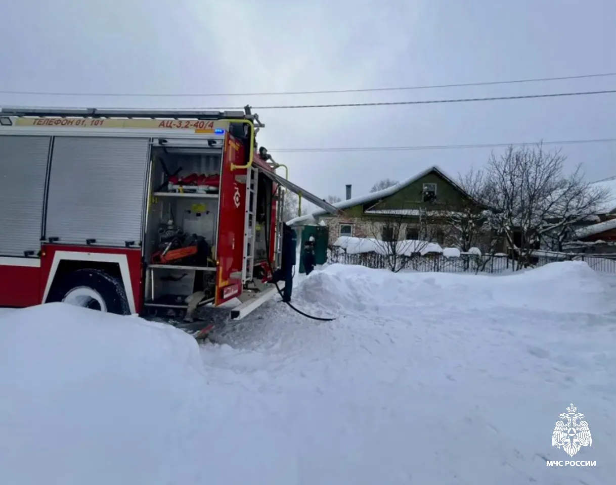 В Тверской области пожарные спасли надышавшихся угарным газом животных