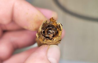 красноармейца