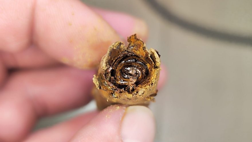 красноармейца