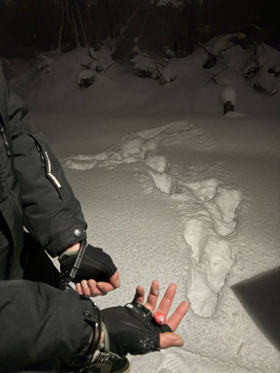 В Тверской области возле железной дороги задержали наркосбытчика