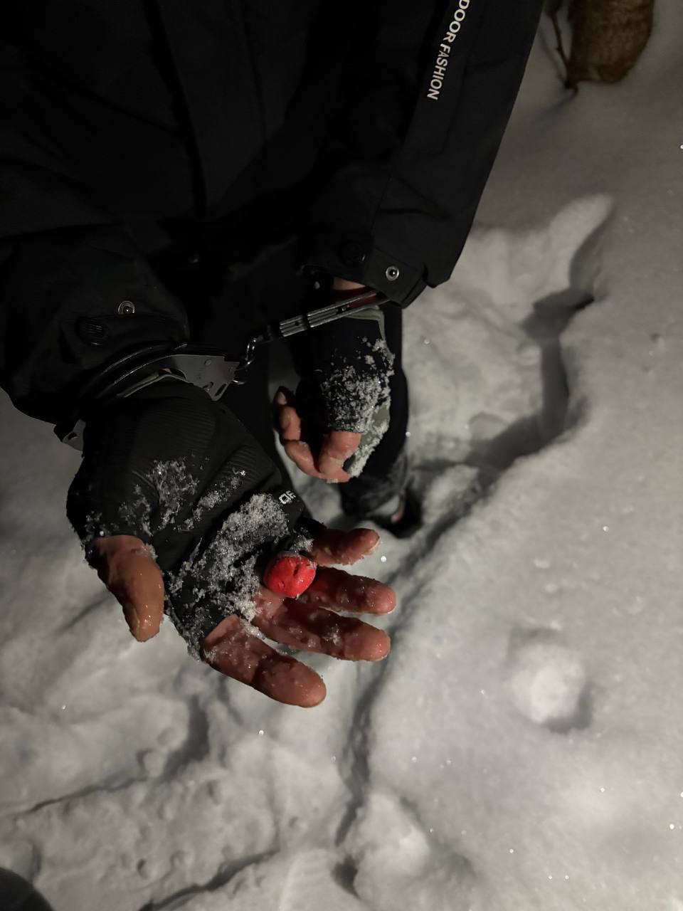 В Тверской области возле железной дороги задержали наркосбытчика
