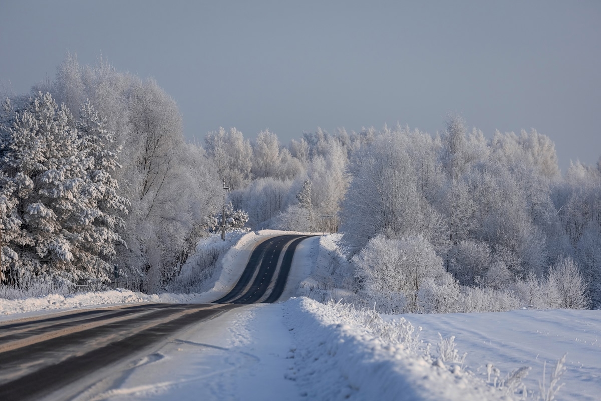 После короткого потепления в Тверскую область вернутся сильные морозы