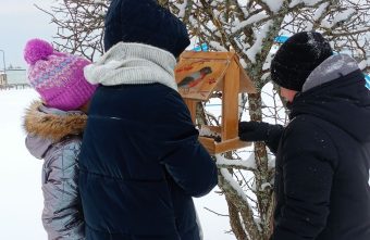 Андреапольские школьники помогают птицам пережить зиму