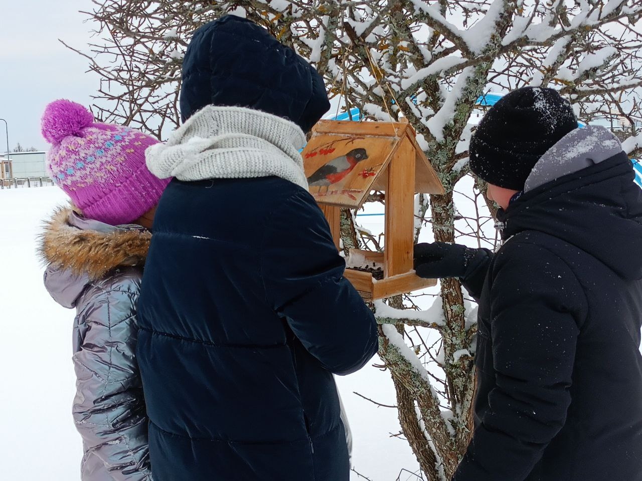 Андреапольские школьники помогают птицам пережить зиму