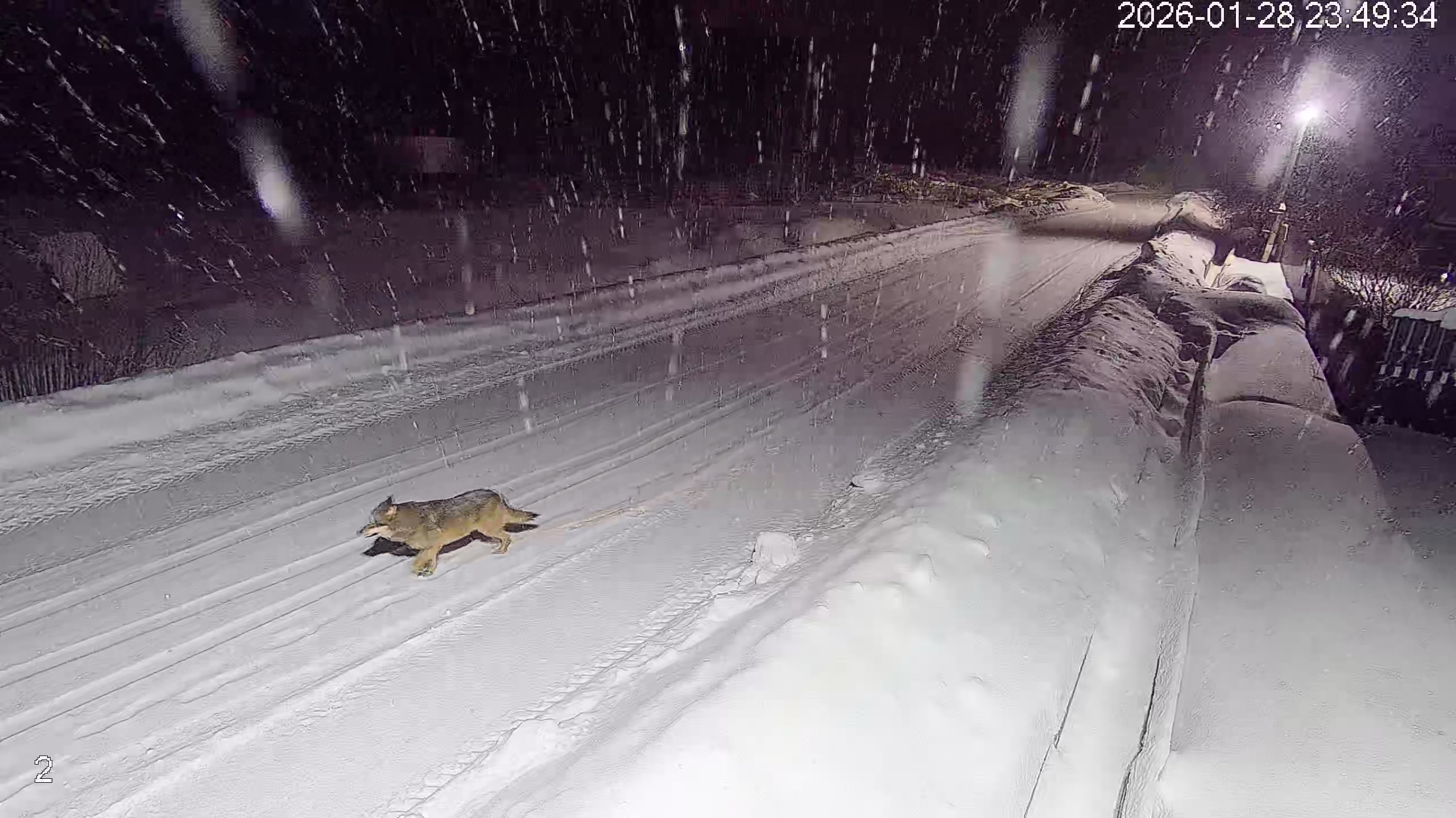 19-летняя девушка поторопилась и попала под колёса машины в Твери