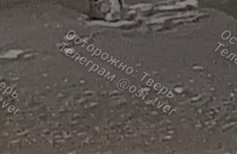 зверя