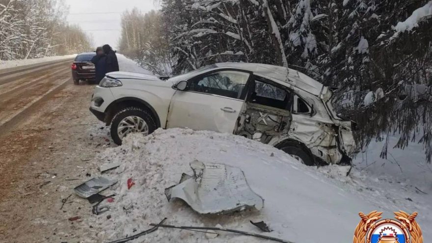 В Тверской области водитель не справился с управлением и улетел в кювет, в результате погиб пассажир